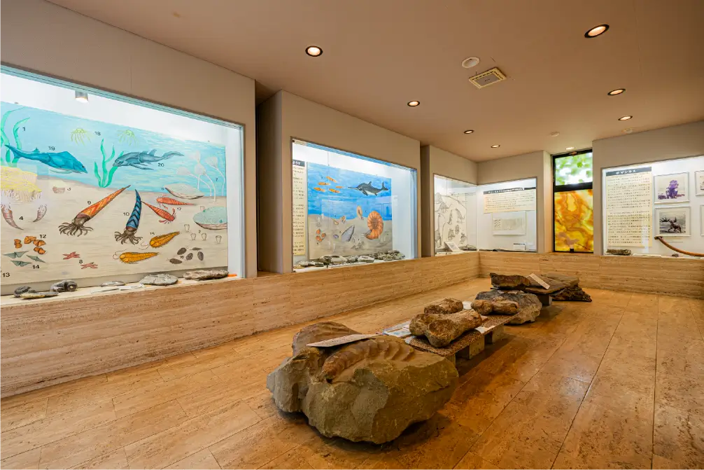 太古の地球に触れる、ストーンアカデミー