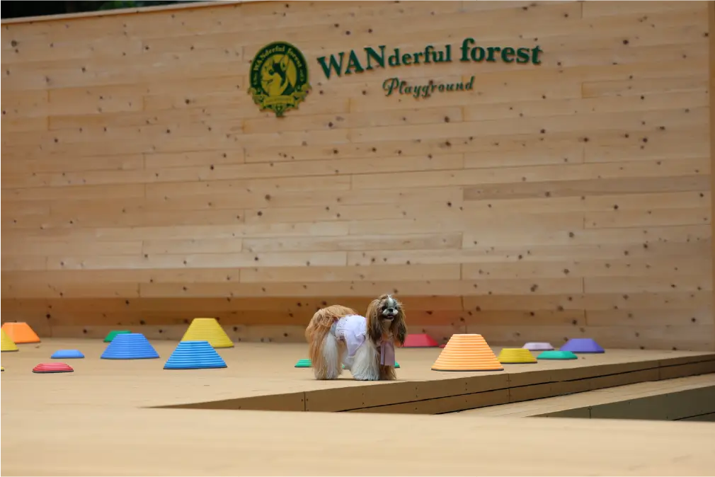 ワンダフルフォレスト