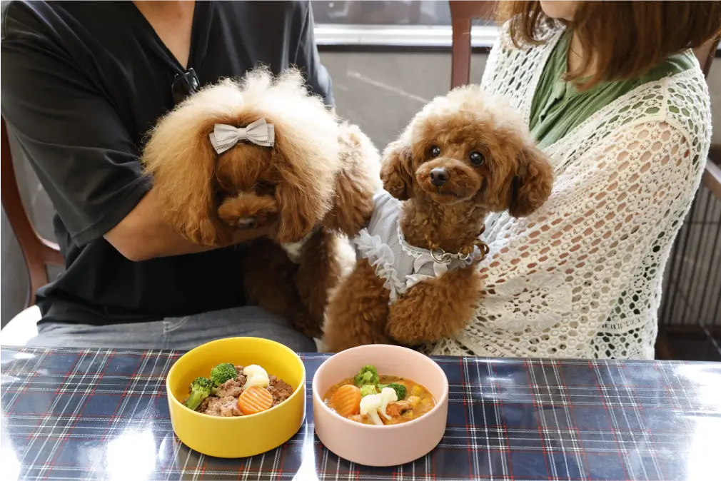 愛犬と過ごすひととき、カフェ＆レストラン ワンダフルハート