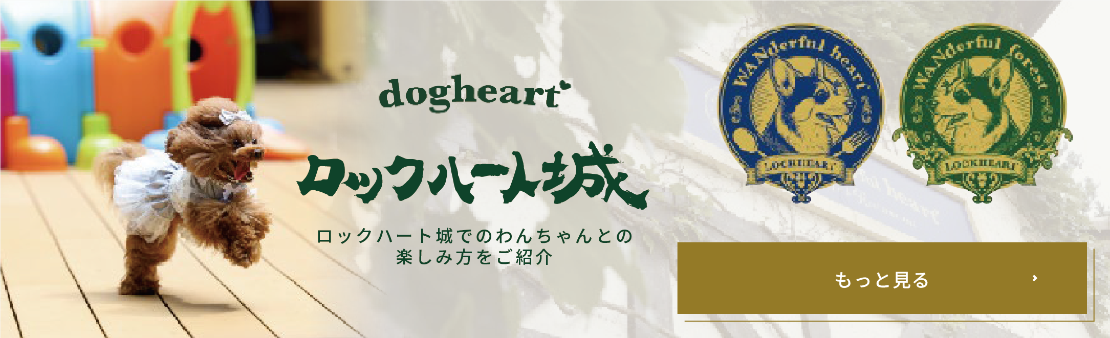 ペットと過ごす