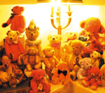 Teddy House