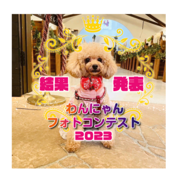 結果発表：わんにゃんフォトコンテスト2023★