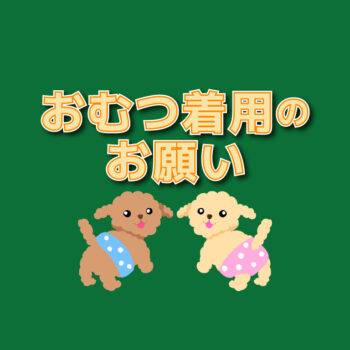 わんちゃん・ねこちゃんオムツ着用のお願い