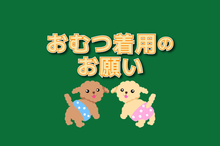 わんちゃん・ねこちゃんオムツ着用のお願い