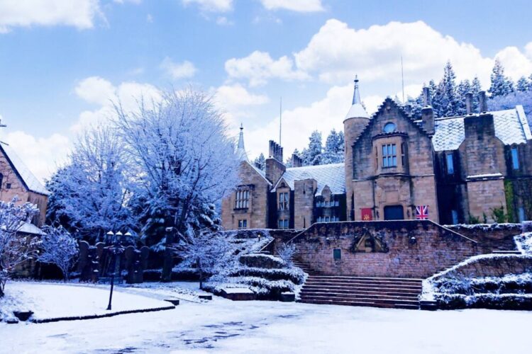 🎄【冬季限定】ロックハート城のクリスマス