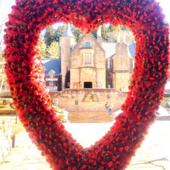 【期間限定】お花で彩られた「バレンタイン・ハート」が登場！大切な人と特別な記念撮影を🏰🌹