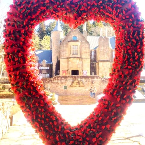 【期間限定】お花で彩られた「バレンタイン・ハート」が登場！大切な人と特別な記念撮影を🏰🌹