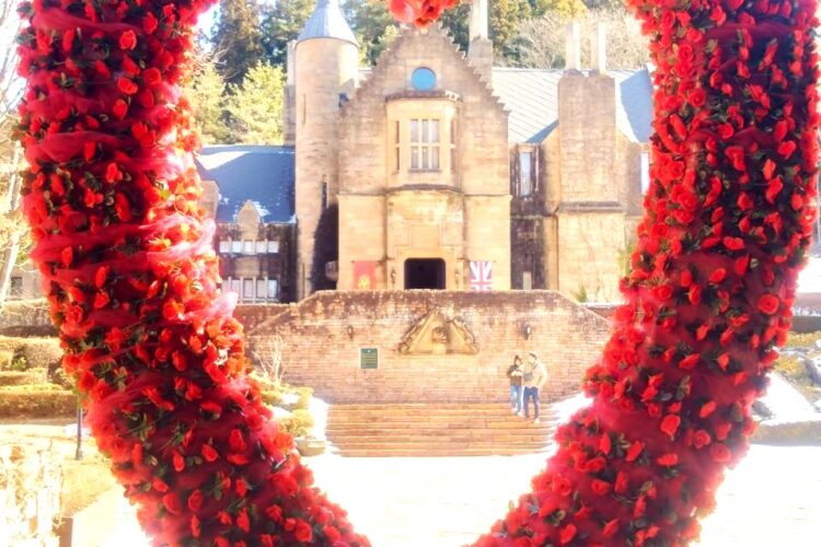 【期間限定】お花で彩られた「バレンタイン・ハート」が登場！大切な人と特別な記念撮影を🏰🌹