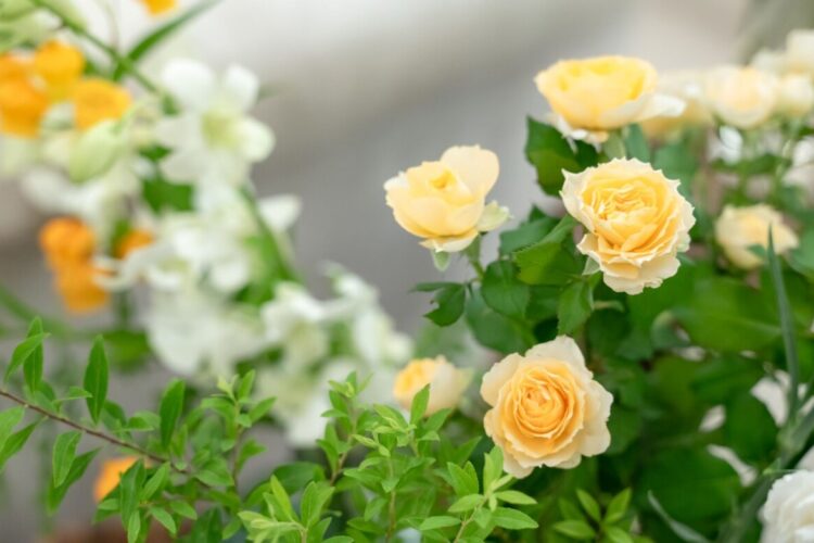 入籍報告はいつ・誰に・どうする？ 失礼にならない結婚報告マナー完全ガイド