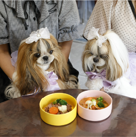 ワンちゃんといっしょに体験＆撮影