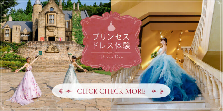Princess Dress Banner