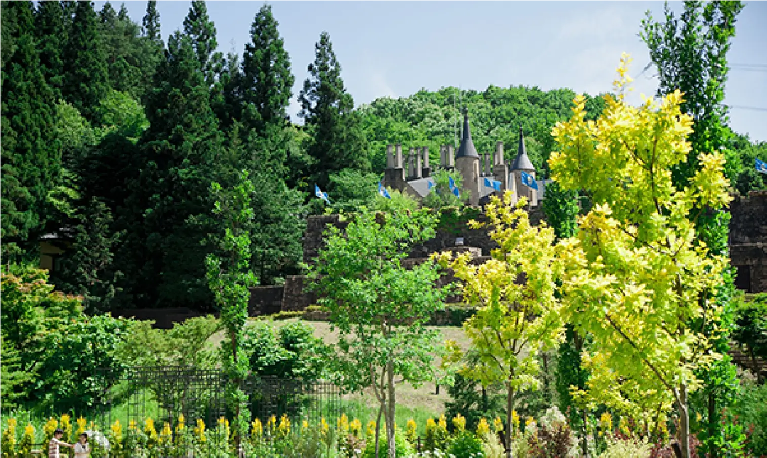 ウイリアムズガーデン風景