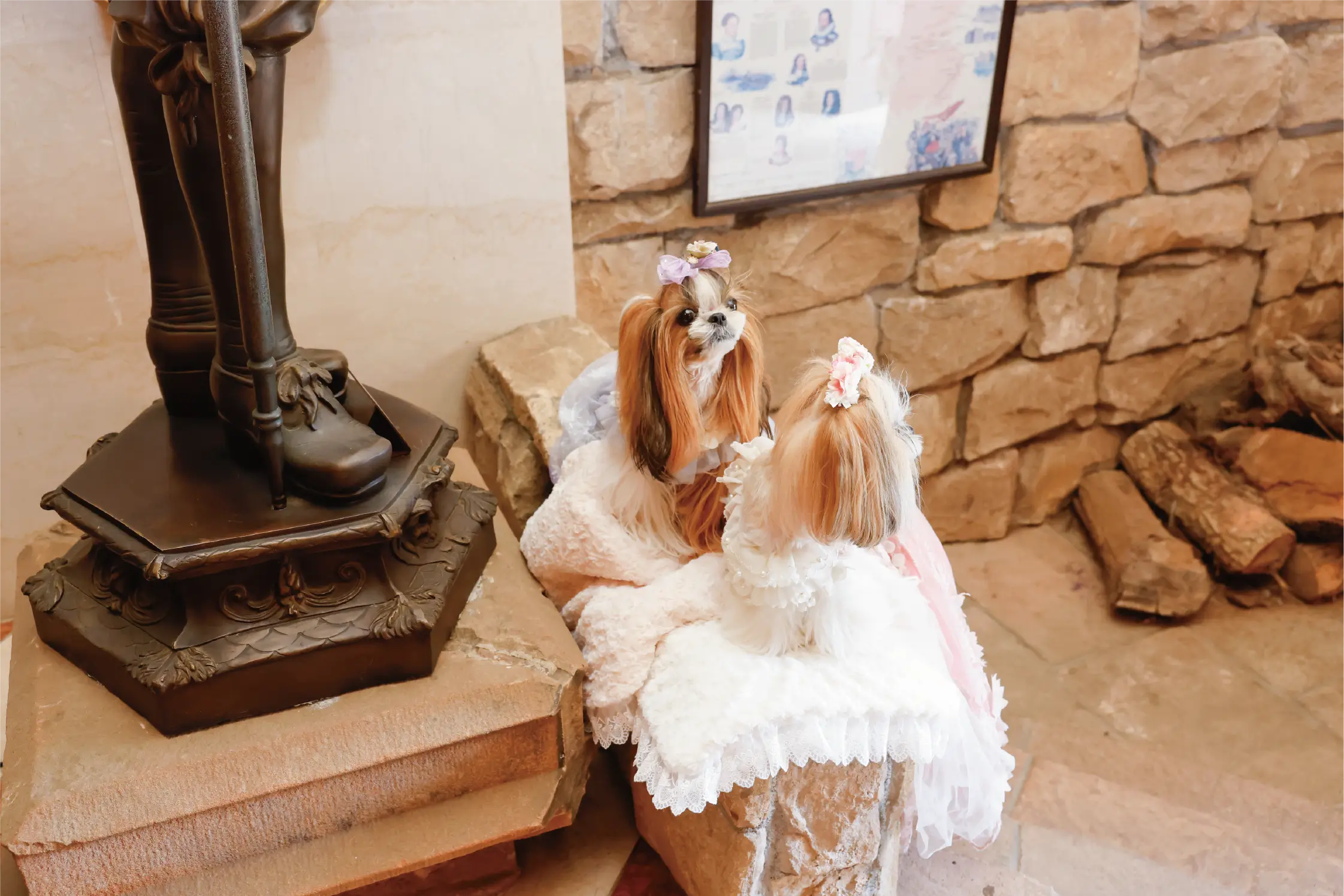Pet Gallery 9