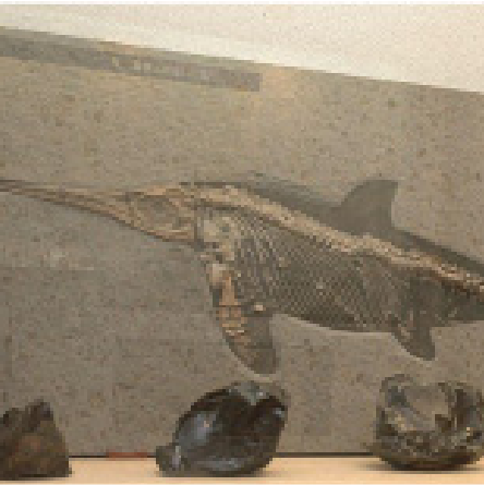 ストーンアカデミー