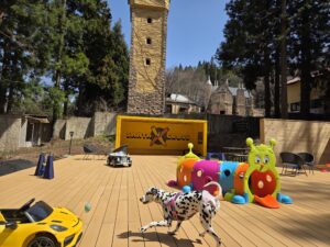 ロックハート城内にある、黄色いコンテナ「SANTA CROSS」が目印のドッグラン・遊び場。カラフルなトンネルや車のおもちゃがあり、ダルメシアンが楽しそうに遊んでいる。