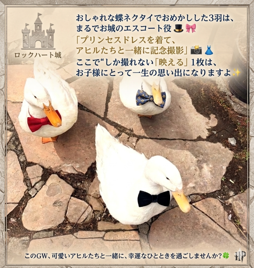 群馬観光で人気のロックハート城にて、蝶ネクタイでおめかしした可愛いアヒルたちと触れ合えるお出かけイベントの様子。