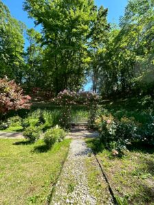 晴れた日の庭園の風景。手前の砂利道の先には、ピンクのつるバラが咲くアーチと白い木製のベンチがあり、背景には緑豊かな高い木々が広がっています。