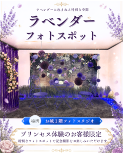ロックハート城のお城1階フォトスタジオに登場したラベンダーカラーのフォトスポット。プリンセス体験をご利用のお客様限定で記念撮影を楽しめる特別な撮影スポットです。
