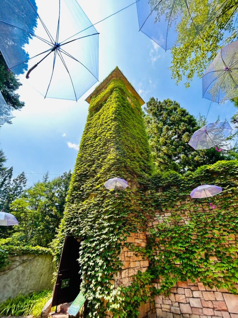 ロックハート城のツタに覆われた塔を見上げる夏の風景。青空にラベンダーカラーのアンブレラスカイが広がるフォトスポット。