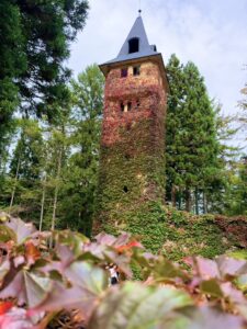 🍁 秋色に染まりはじめたロックハート城 🏰✨